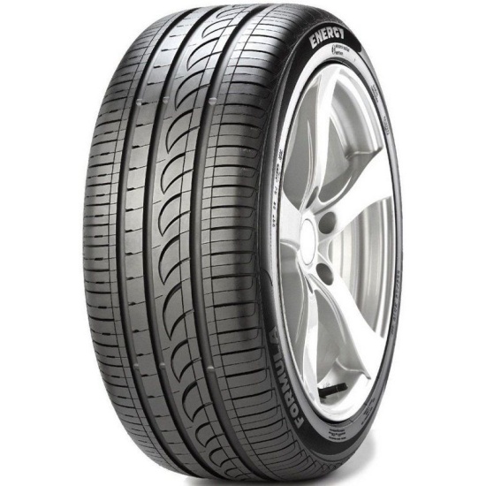 Formula Energy 205-55 R16 91V